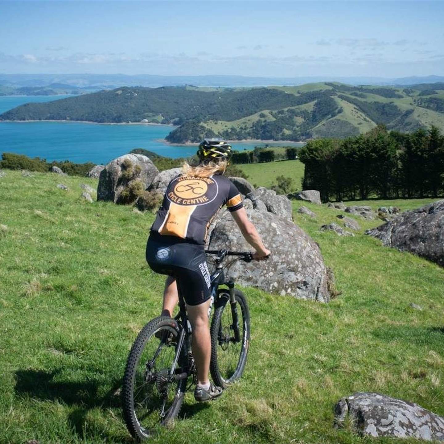 bike shop onehunga