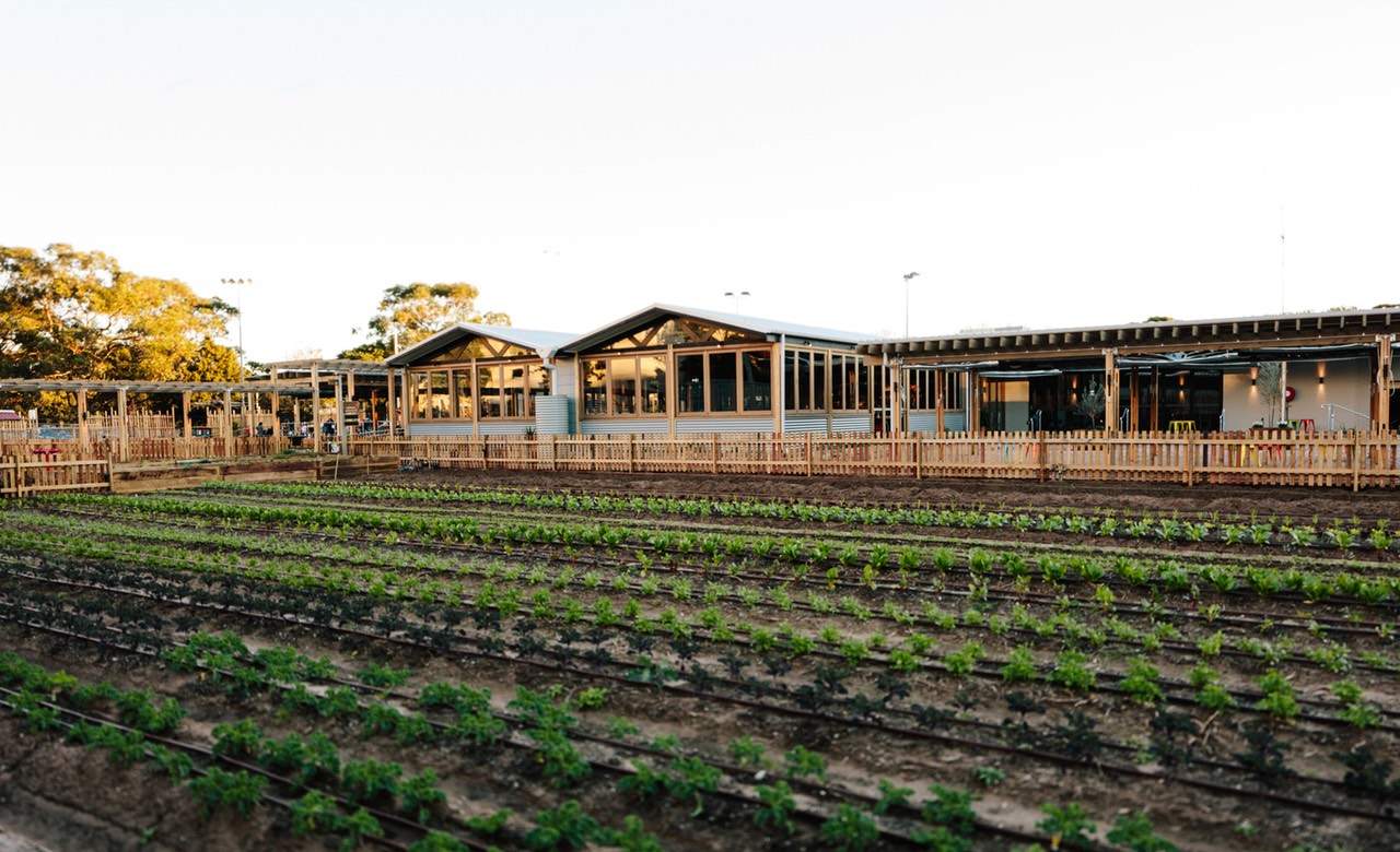 Acre Eatery, Camperdown Review Concrete Playground Sydney