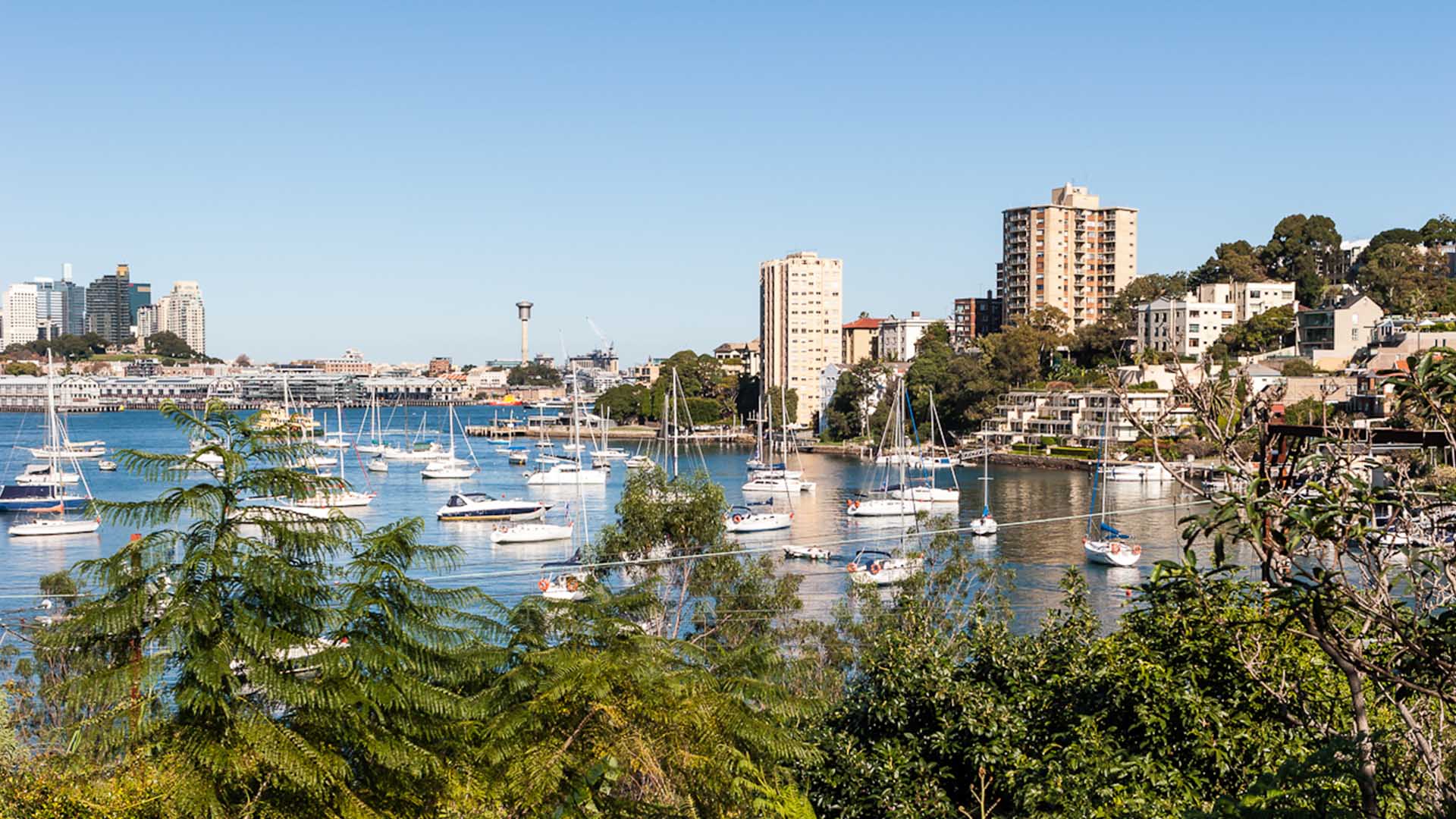 A Guide to the Lower North Shore Concrete Playground