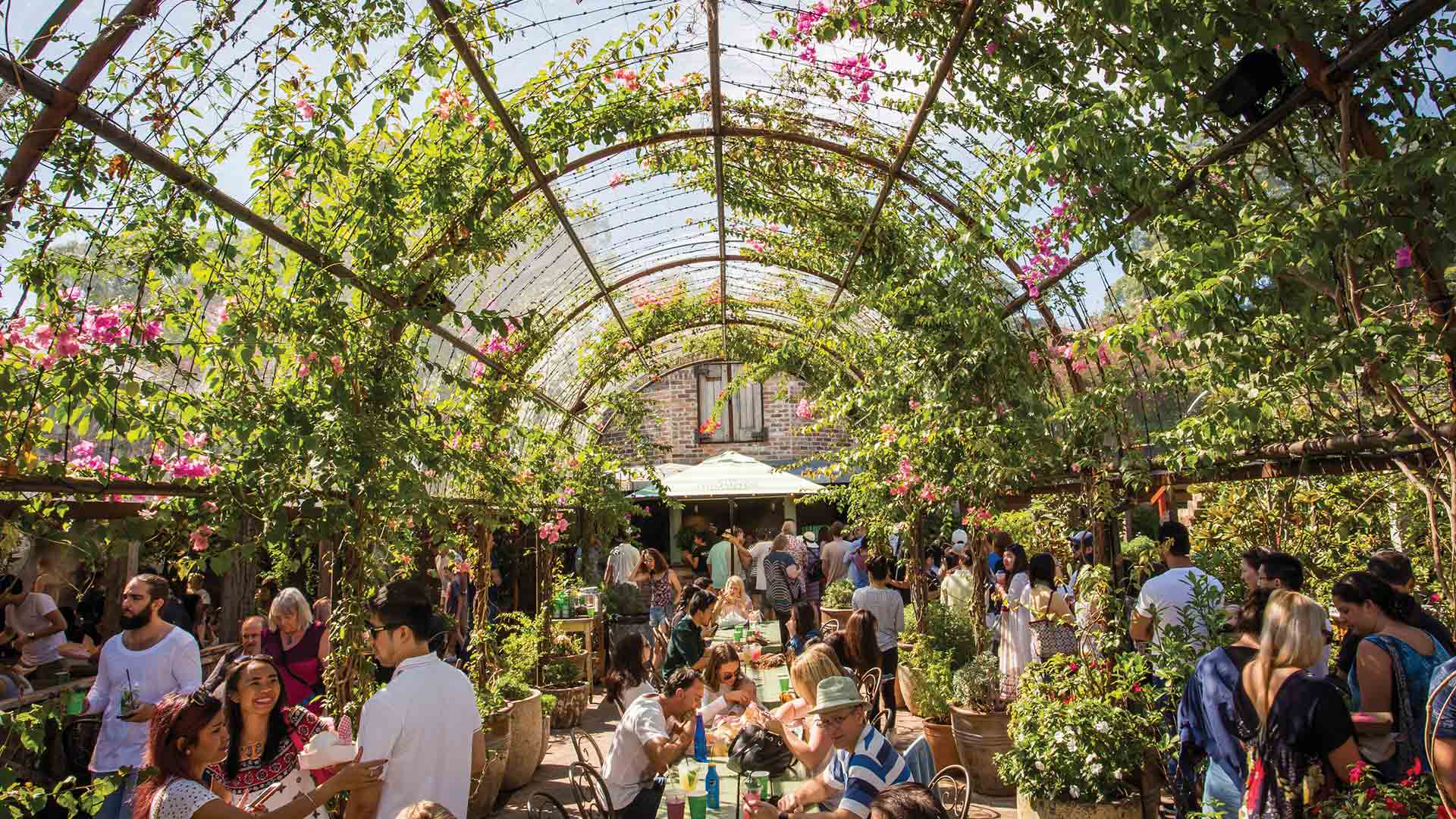 Sunday Sum-Up: Eight Things That Happened in Sydney This Week