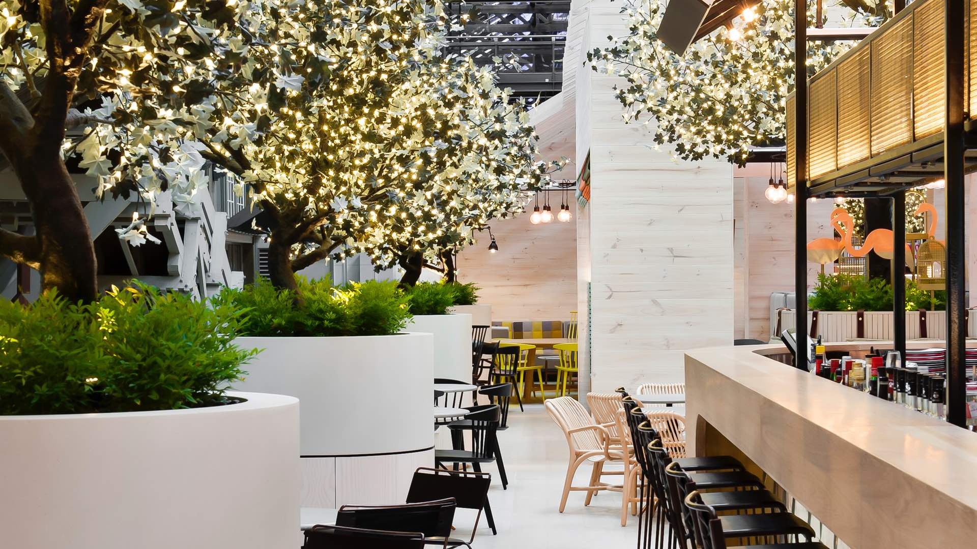 Alibi Is Woolloomooloo�s New Entirely PlantBased