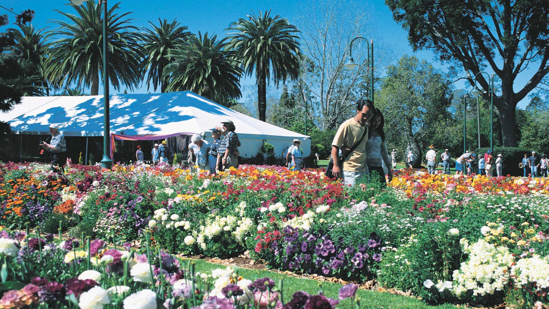 Toowoomba Carnival of Flowers 2019, Brisbane Concrete Playground Brisbane