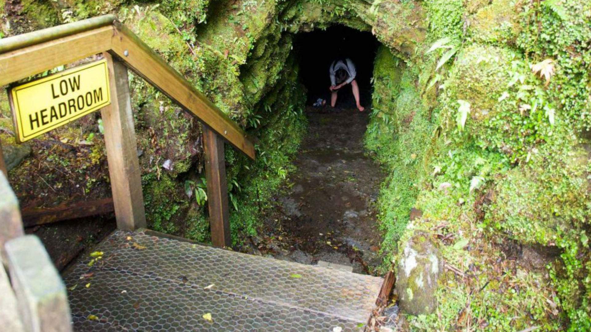 Tatare Tunnel Concrete Playground Concrete Playground Auckland