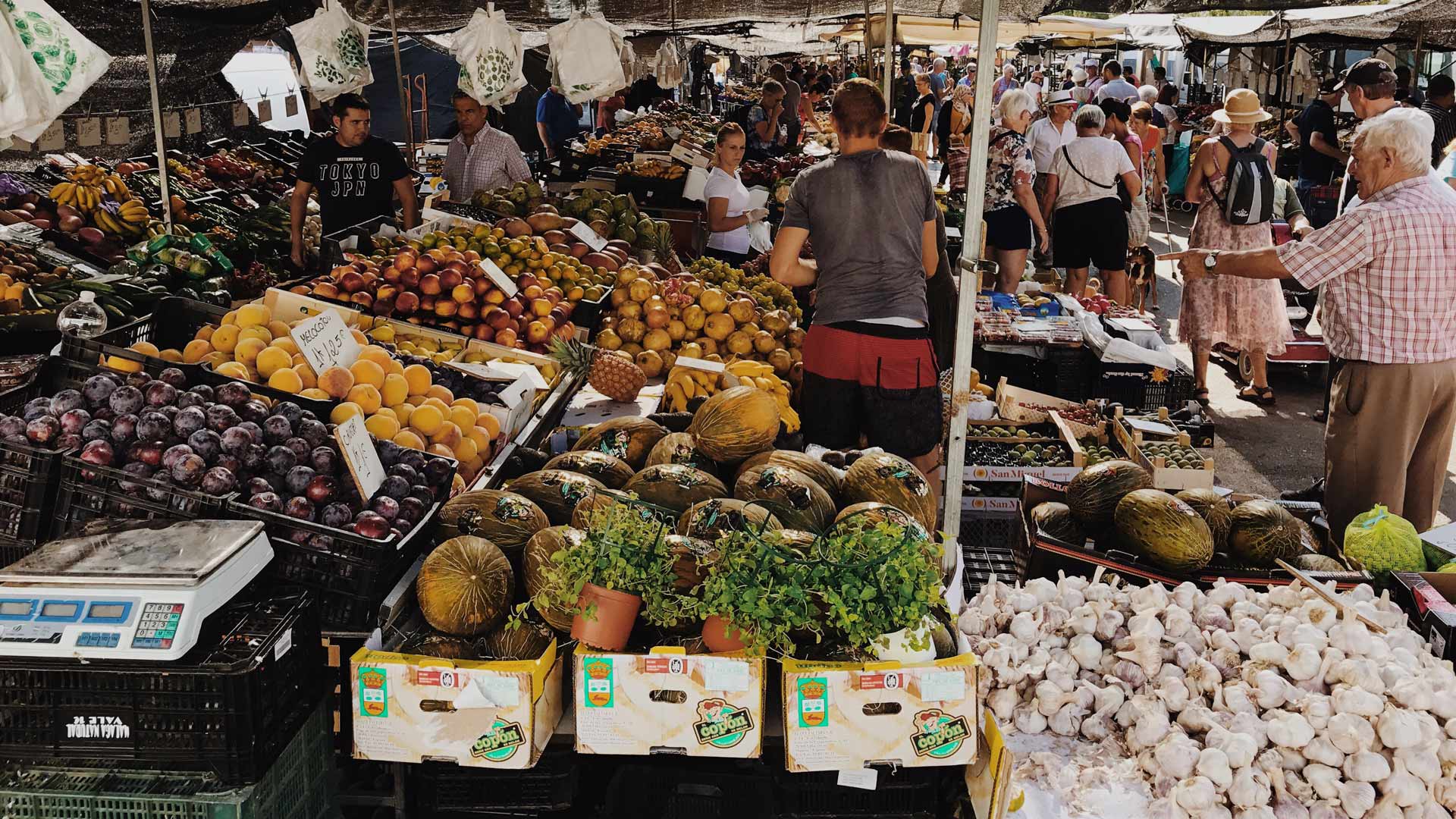 Ramsgate Foodies & Farmers Market, Sydney Concrete Playground Sydney