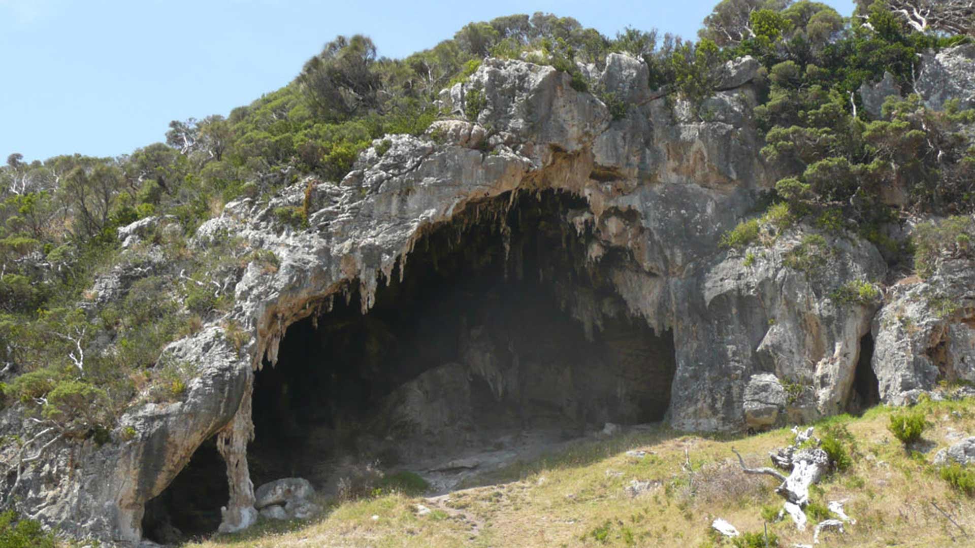 melbourne cave tour