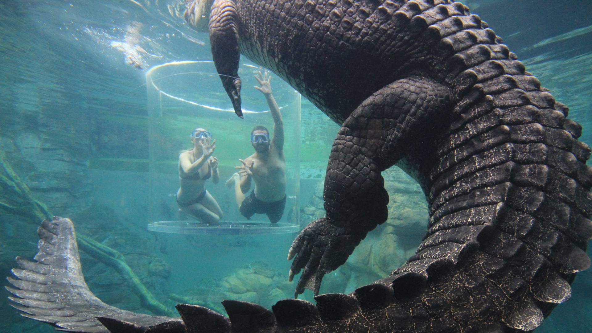 how to plan a summer escape this winter without